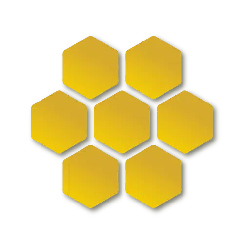 Disinfestazione nidi grandi vespe