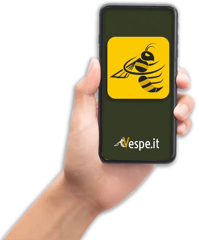 grafica disinfestazione vespe logo