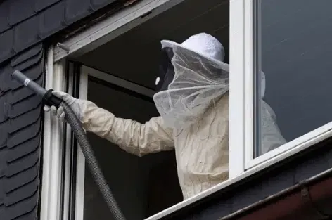 come eliminare un nido di vespe