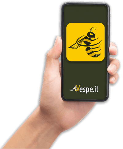grafica disinfestazione vespe logo