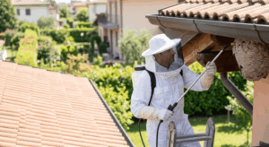 Disinfestazione vespe Lodi Vecchio